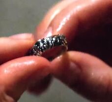 Tragisch Evenement spade Outlander: Claire's New Wedding Ring - Favosity